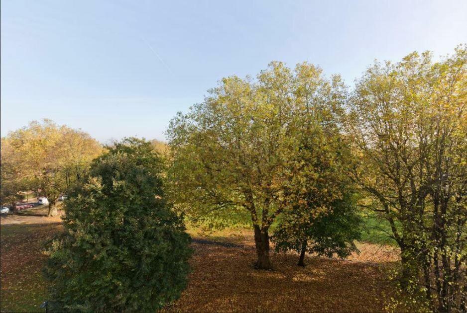 Apartament Wyatt Court Londyn Zewnętrze zdjęcie